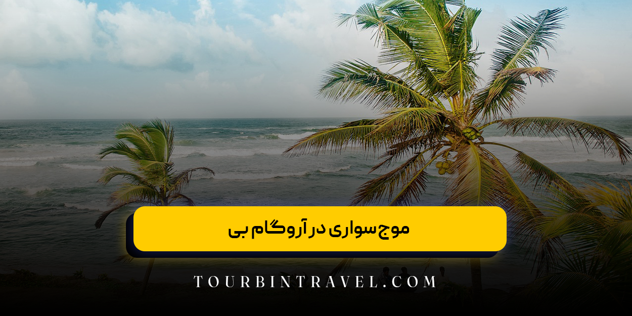 موج‌سواری در آروگام بی 